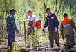 В Увате появился еще один «Лес Победы» В Увате появился еще один «Лес Победы»